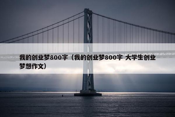 我的创业梦800字（我的创业梦800字 大学生创业梦想作文）