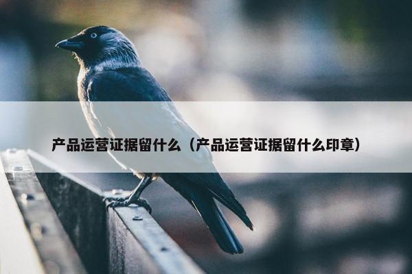 产品运营证据留什么（产品运营证据留什么印章）