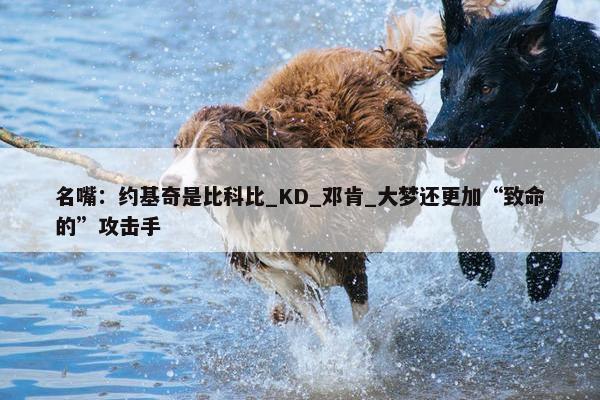 名嘴：约基奇是比科比_KD_邓肯_大梦还更加“致命的”攻击手