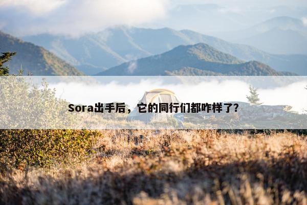 Sora出手后，它的同行们都咋样了？