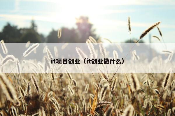 it项目创业（it创业做什么）