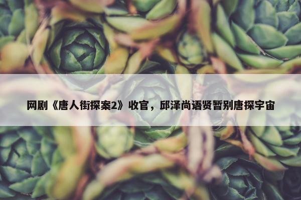 网剧《唐人街探案2》收官，邱泽尚语贤暂别唐探宇宙