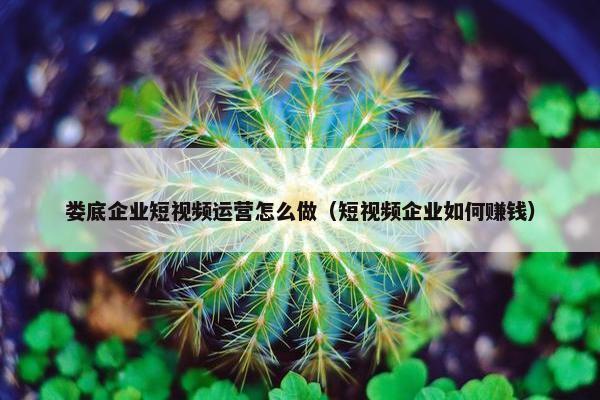 娄底企业短视频运营怎么做（短视频企业如何赚钱）