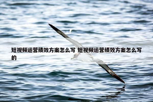 短视频运营绩效方案怎么写 短视频运营绩效方案怎么写的