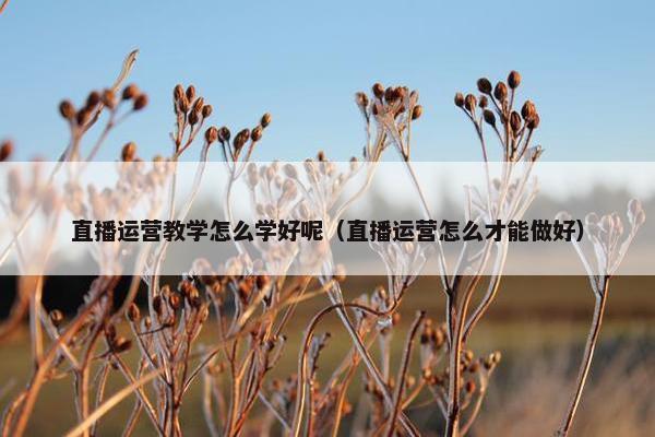 直播运营教学怎么学好呢（直播运营怎么才能做好）