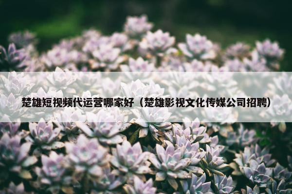 楚雄短视频代运营哪家好（楚雄影视文化传媒公司招聘）