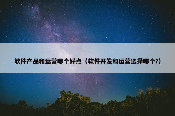 软件产品和运营哪个好点（软件开发和运营选择哪个?）