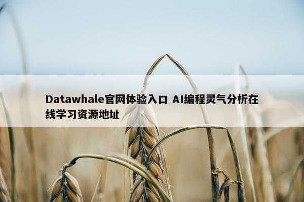 Datawhale官网体验入口 AI编程灵气分析在线学习资源地址