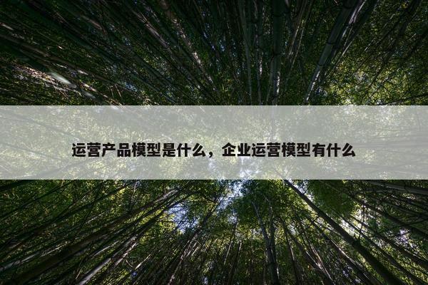 运营产品模型是什么，企业运营模型有什么