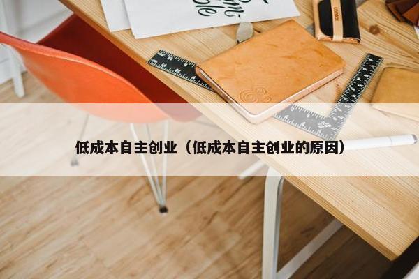 低成本自主创业（低成本自主创业的原因）