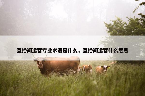 直播间运营专业术语是什么，直播间运营什么意思