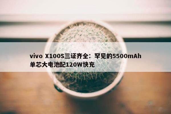 vivo X100S三证齐全：罕见的5500mAh单芯大电池配120W快充