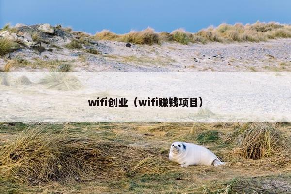 wifi创业（wifi赚钱项目）