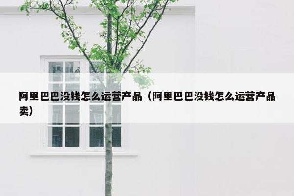 阿里巴巴没钱怎么运营产品（阿里巴巴没钱怎么运营产品卖）