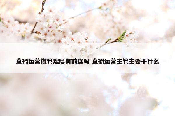 直播运营做管理层有前途吗 直播运营主管主要干什么