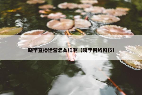 晓宇直播运营怎么样啊（晓宇网络科技）