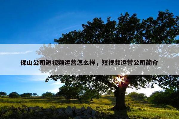 保山公司短视频运营怎么样，短视频运营公司简介