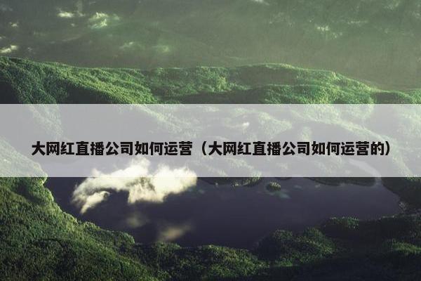 大网红直播公司如何运营（大网红直播公司如何运营的）