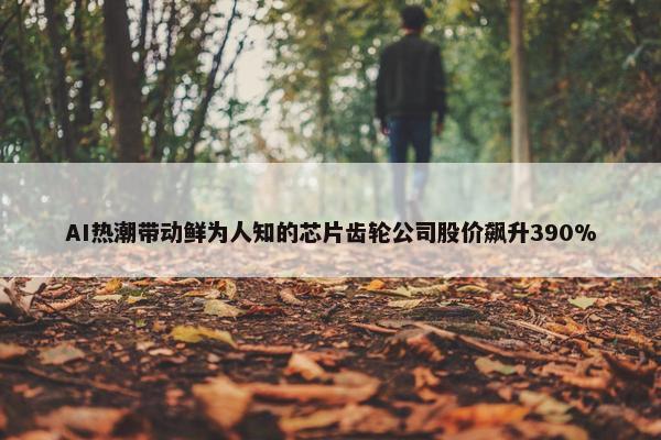 AI热潮带动鲜为人知的芯片齿轮公司股价飙升390%