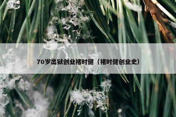 70岁出狱创业褚时健（褚时健创业史）