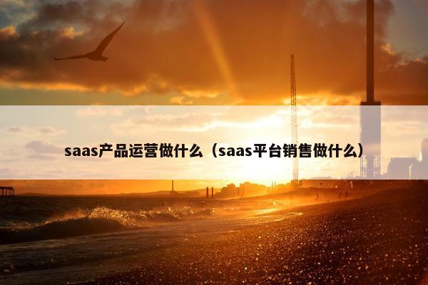 saas产品运营做什么（saas平台销售做什么）