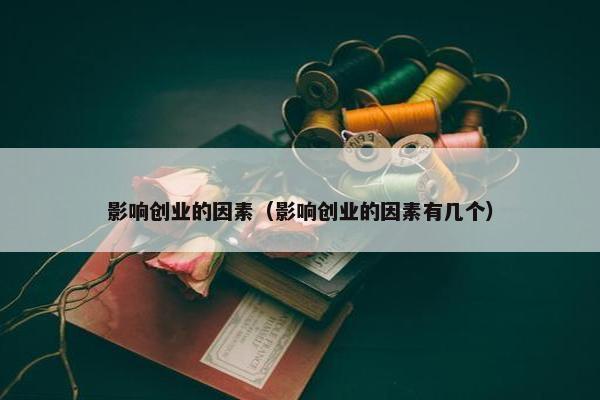 影响创业的因素（影响创业的因素有几个）