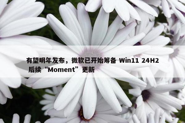 有望明年发布，微软已开始筹备 Win11 24H2 后续“Moment”更新