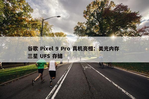 谷歌 Pixel 9 Pro 真机亮相：美光内存 三星 UFS 存储