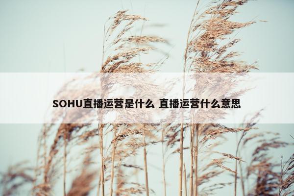SOHU直播运营是什么 直播运营什么意思