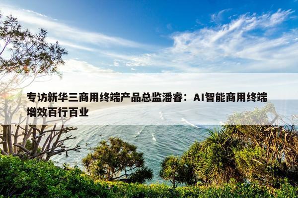 专访新华三商用终端产品总监潘睿：AI智能商用终端 增效百行百业