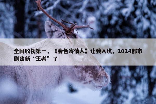 全国收视第一，《春色寄情人》让我入坑，2024都市剧出新“王者”了