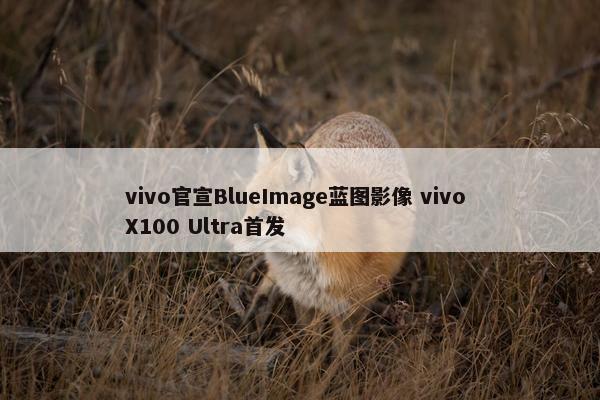 vivo官宣BlueImage蓝图影像 vivo X100 Ultra首发