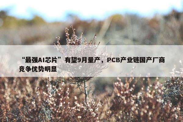 “最强AI芯片”有望9月量产，PCB产业链国产厂商竞争优势明显