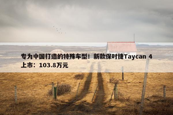 专为中国打造的特殊车型！新款保时捷Taycan 4上市：103.8万元