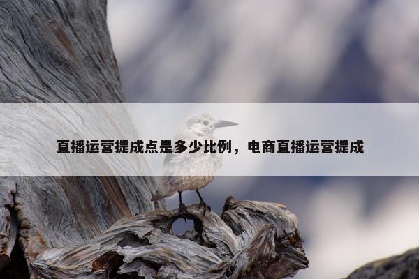 直播运营提成点是多少比例，电商直播运营提成