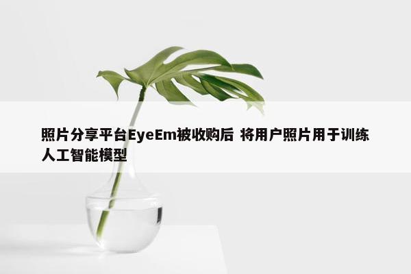 照片分享平台EyeEm被收购后 将用户照片用于训练人工智能模型