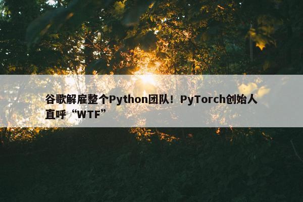谷歌解雇整个Python团队！PyTorch创始人直呼“WTF”