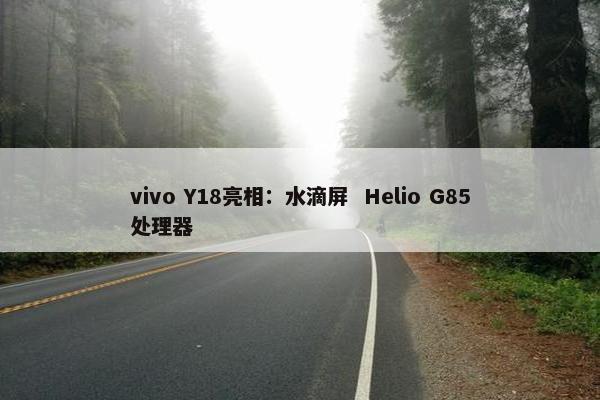 vivo Y18亮相：水滴屏  Helio G85处理器