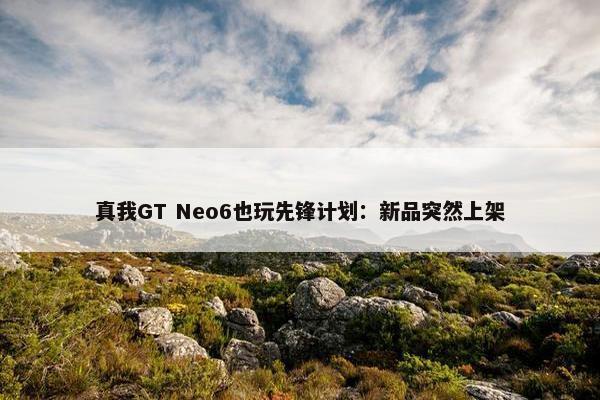 真我GT Neo6也玩先锋计划：新品突然上架