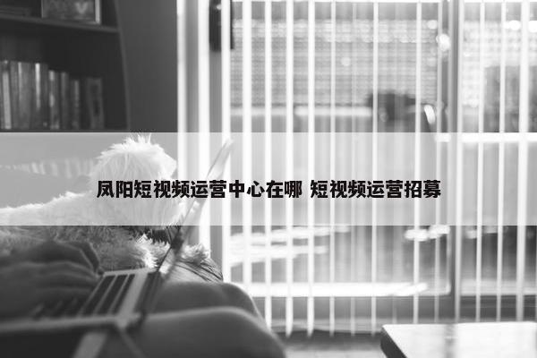 凤阳短视频运营中心在哪 短视频运营招募