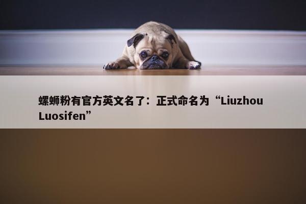 螺蛳粉有官方英文名了：正式命名为“Liuzhou Luosifen”