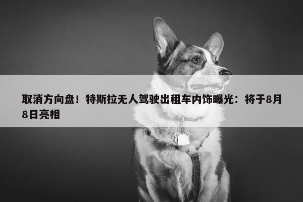 取消方向盘！特斯拉无人驾驶出租车内饰曝光：将于8月8日亮相