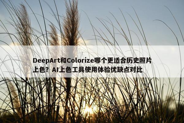 DeepArt和Colorize哪个更适合历史照片上色？AI上色工具使用体验优缺点对比