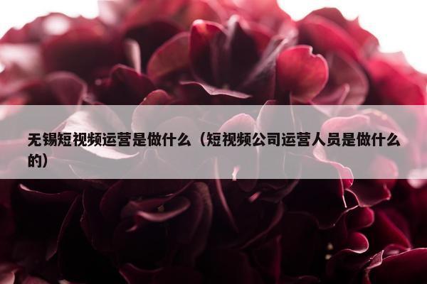 无锡短视频运营是做什么（短视频公司运营人员是做什么的）