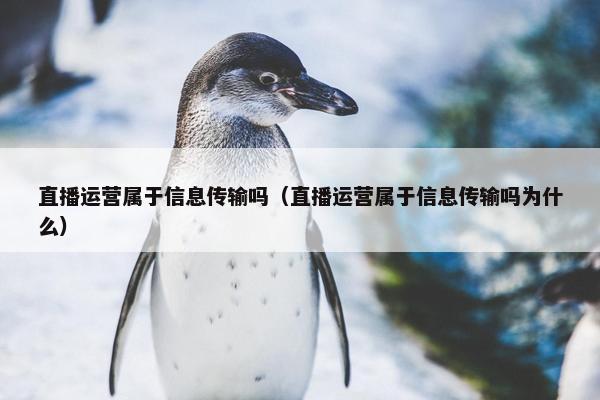 直播运营属于信息传输吗（直播运营属于信息传输吗为什么）