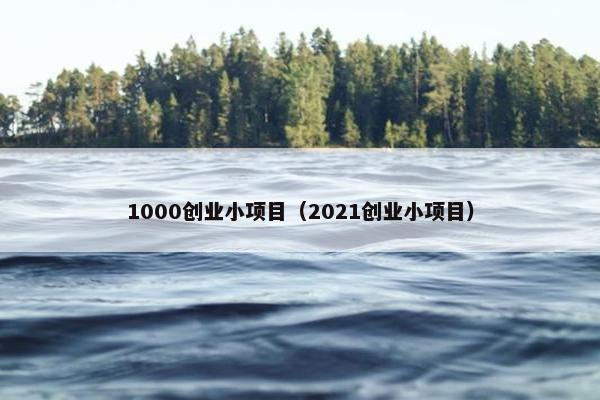 1000创业小项目（2021创业小项目）