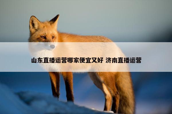 山东直播运营哪家便宜又好 济南直播运营