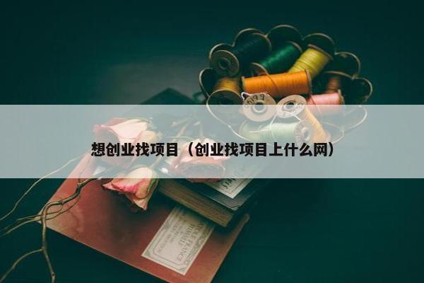 想创业找项目（创业找项目上什么网）