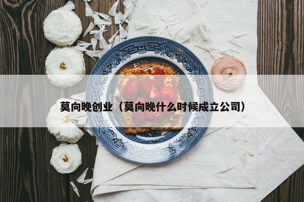 莫向晚创业（莫向晚什么时候成立公司）