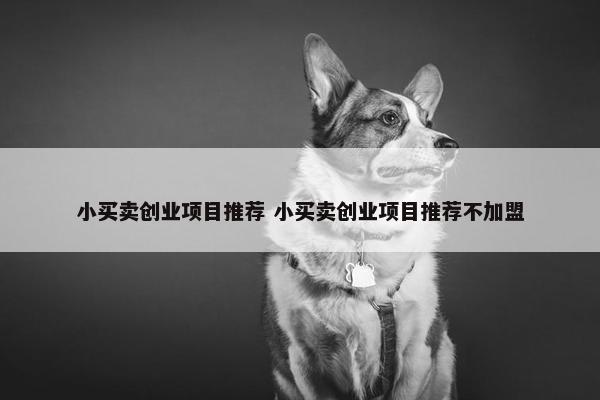 小买卖创业项目推荐 小买卖创业项目推荐不加盟